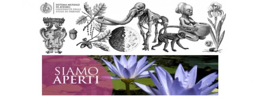 sistema museale ateneo